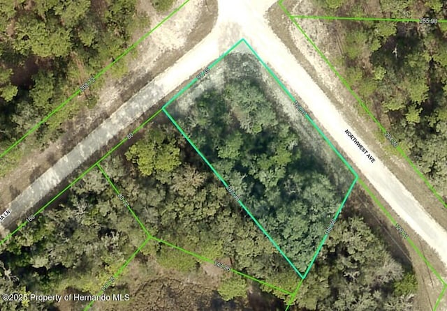 Listing photo 2 for LOT32 NW Ave, Webster FL 33597