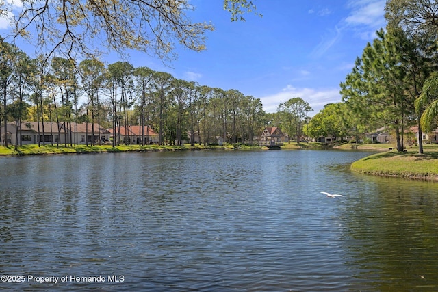 property view of water