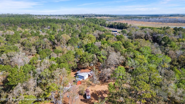 bird's eye view with a forest view