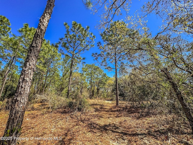 0 Sheffield Rd, Spring Hill FL, 34608 land for sale