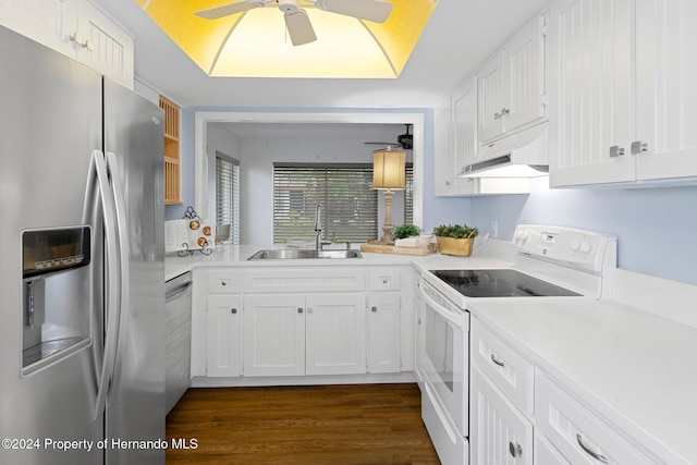 kitchen featuring under cabinet range hood, a ceiling fan, appliances with stainless steel finishes, and a sink