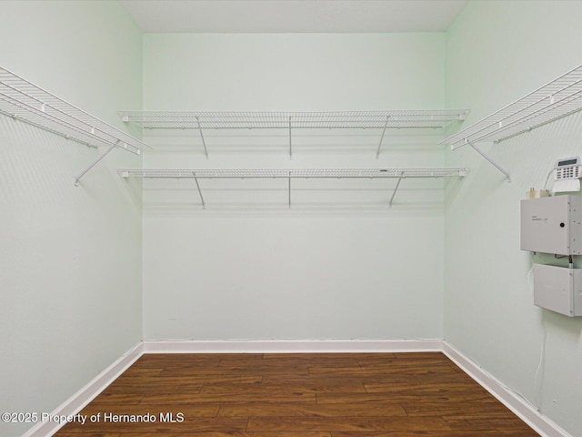 walk in closet featuring wood finished floors