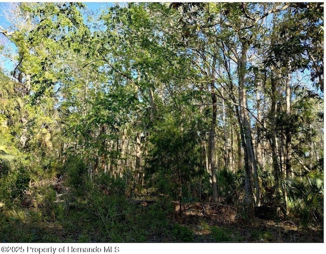 0 Indian Bay Rd, Spring Hill FL, 34607 land for sale