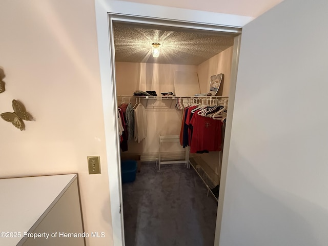 spacious closet with carpet floors