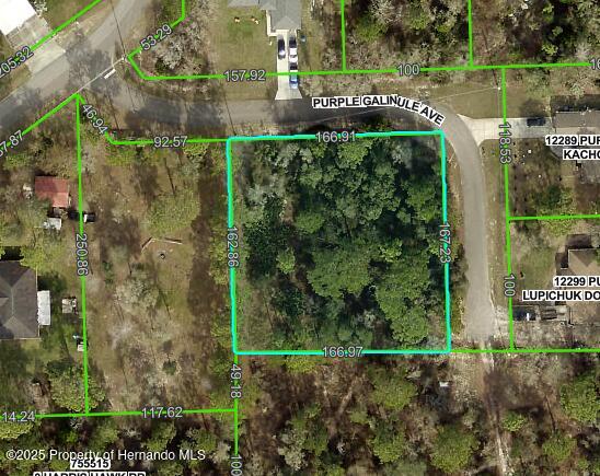 0 Purple Galinule Ave, Weeki Wachee FL, 34614 land for sale