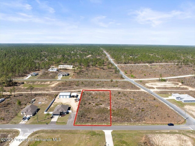 16203 Penn State Rd, Brooksville FL, 34614 land for sale