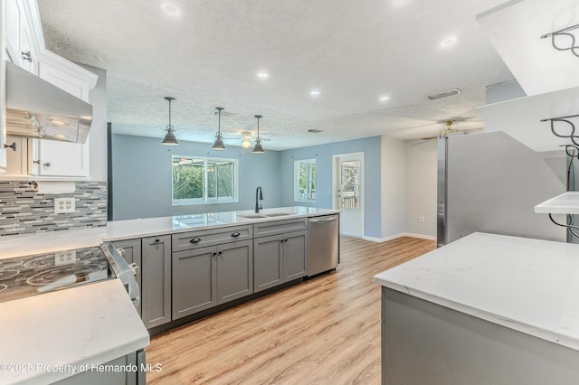 kitchen featuring gray cabinets, a sink, tasteful backsplash, ventilation hood, and stainless steel appliances