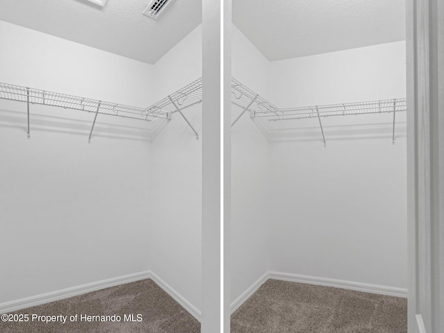 walk in closet featuring visible vents and carpet flooring