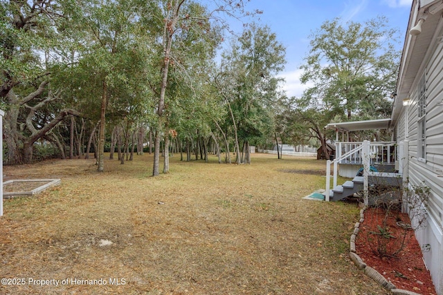 view of yard