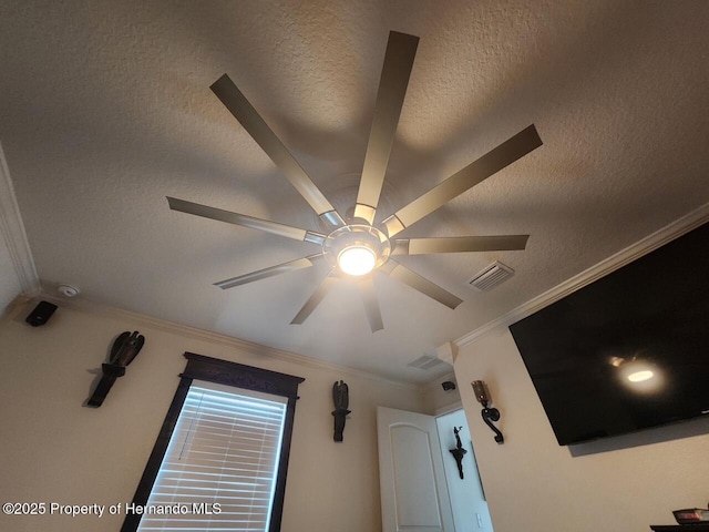 26369 Bertram Rd, Brooksville, FL 34602 - photo 21