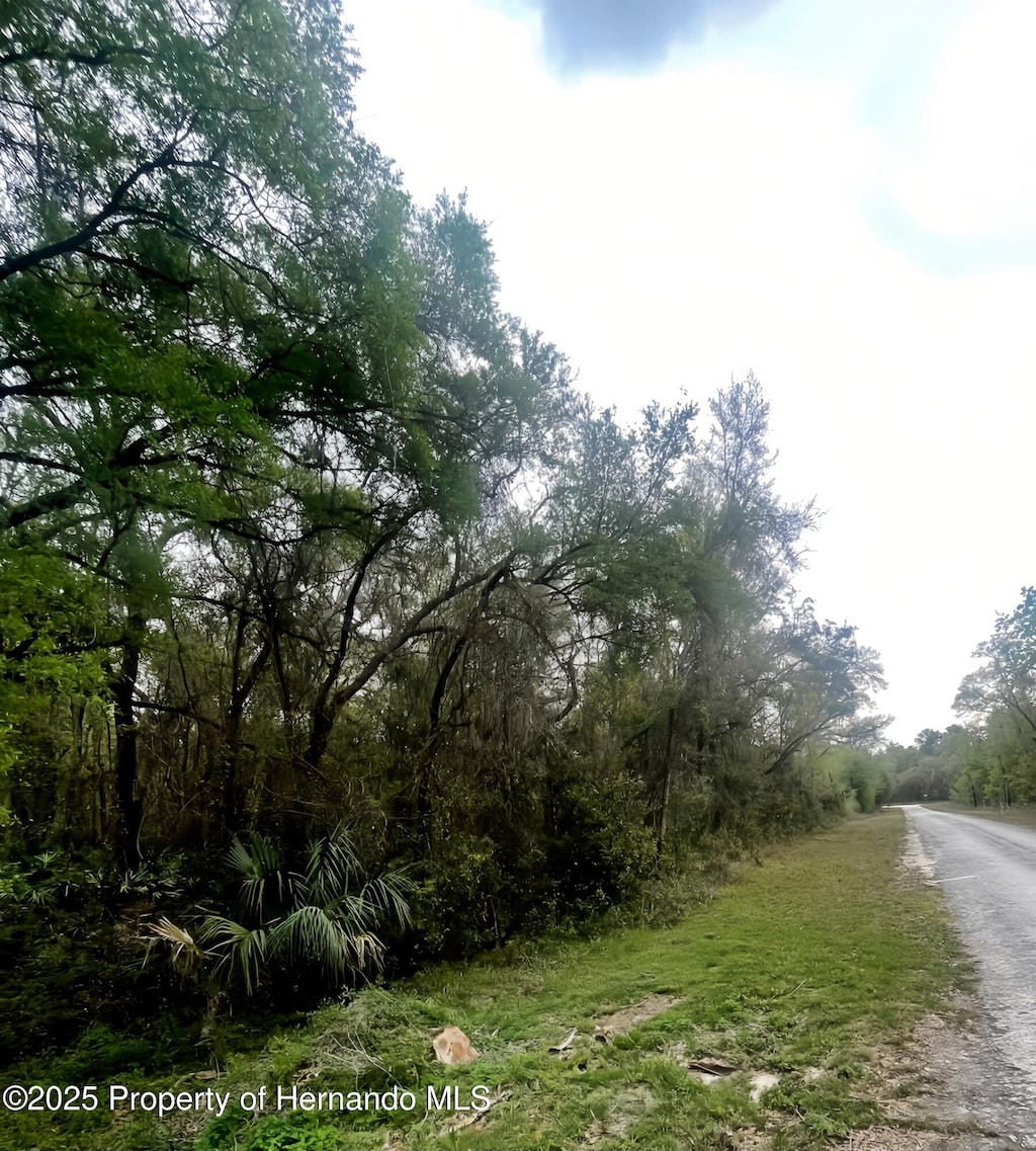 7354 Wagers Dr, Webster, FL 33597