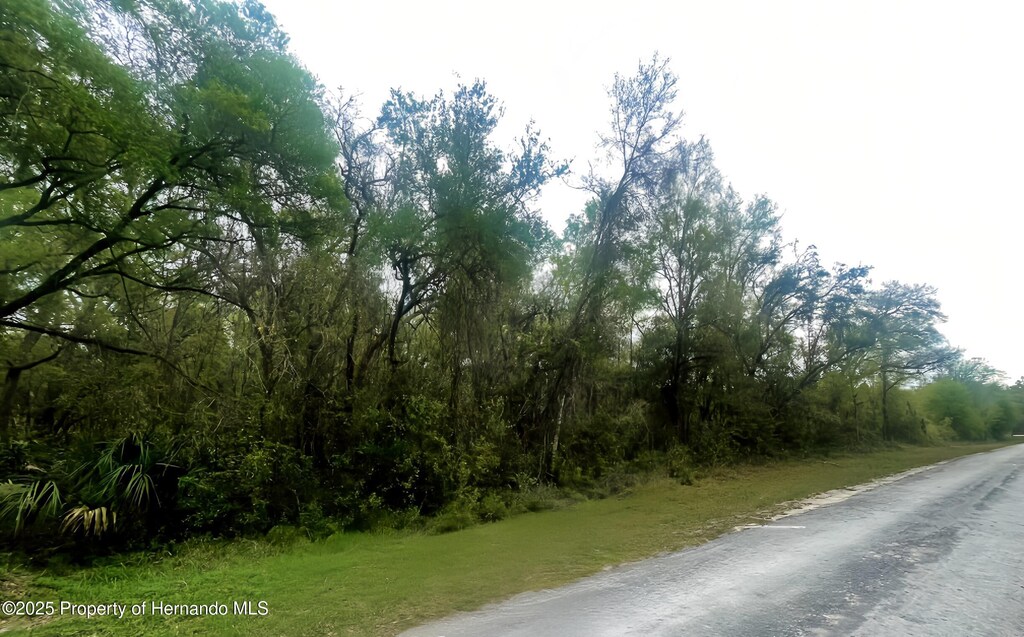 7354 Wagers Dr, Webster, FL 33597