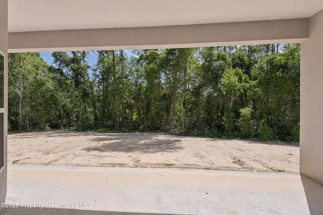 15450 Cliff Swallow Rd, Brooksville, FL 34614 - photo 12
