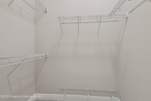 15450 Cliff Swallow Rd, Brooksville, FL 34614 - photo 33