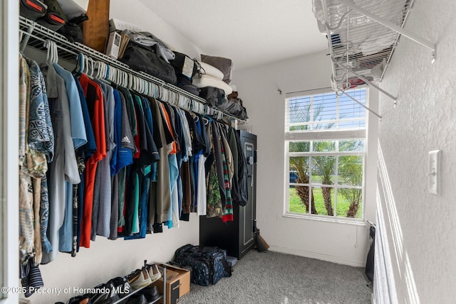 1018 Stratton Ave, Spring Hill, FL 34609 - walk in closet with carpet flooring
