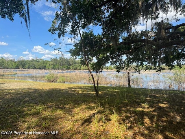 view of yard featuring a water view