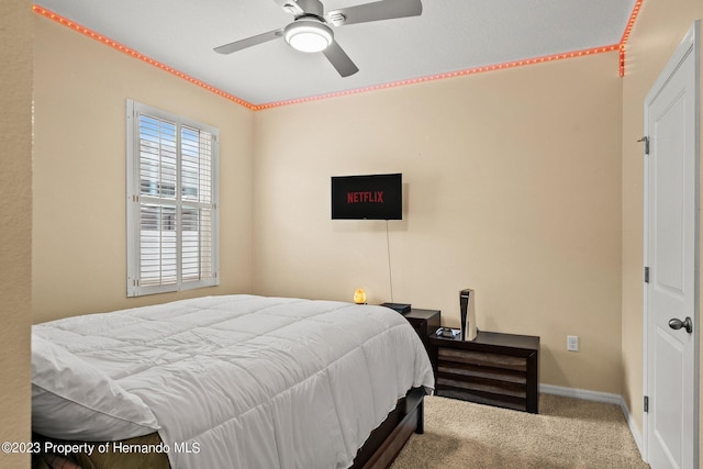582 8th St NW, Ruskin, FL 33570 - photo 32
