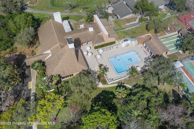 bird's eye view