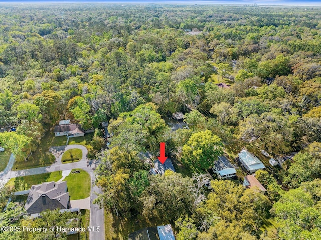 406 Zoller St, Brooksville, FL 34601 - aerial view featuring a view of trees