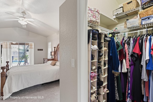 spacious closet featuring lofted ceiling, carpet flooring, and a ceiling fan