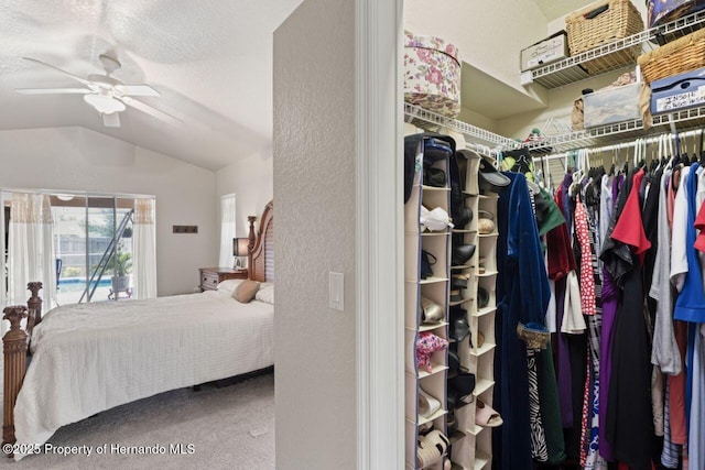 walk in closet featuring a ceiling fan, carpet floors, and vaulted ceiling