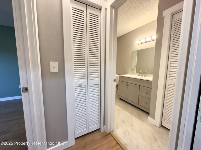 2253 Estill Ave, Spring Hill, FL 34609 - bathroom with a closet, vanity, baseboards, and wood finished floors