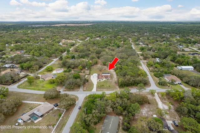 18216 Monteverde Dr, Shady Hills, FL 34610 - bird's eye view featuring a view of trees