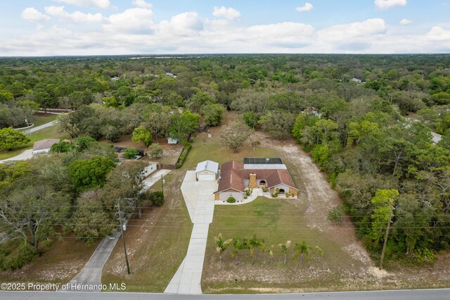 18216 Monteverde Dr, Shady Hills, FL 34610 - aerial view with a view of trees