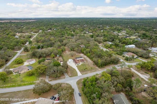 18216 Monteverde Dr, Shady Hills, FL 34610 - aerial view featuring a wooded view