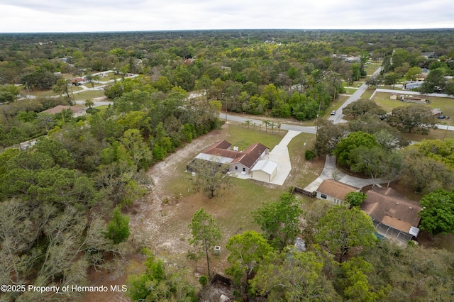 18216 Monteverde Dr, Shady Hills, FL 34610 - aerial view with a forest view