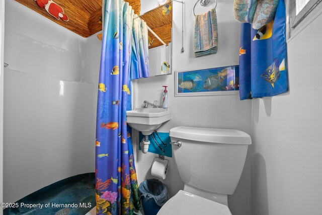 6448-2 W Richard Dr, Weeki Wachee, FL 34607 - full bathroom with toilet and a shower with shower curtain