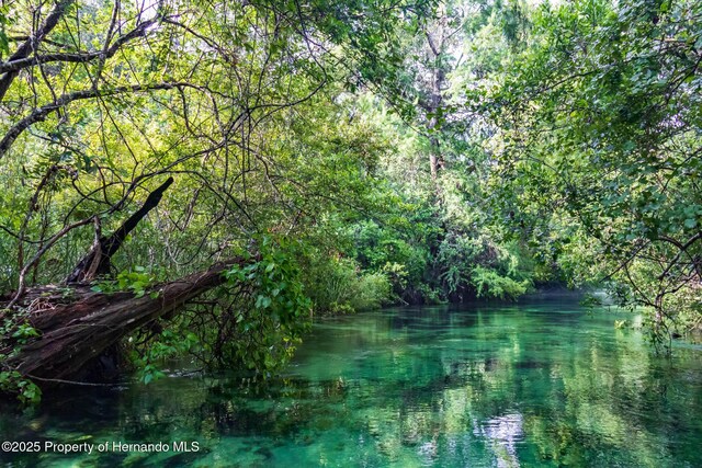 6448-2 W Richard Dr, Weeki Wachee, FL 34607 - view of wooded area with a water view