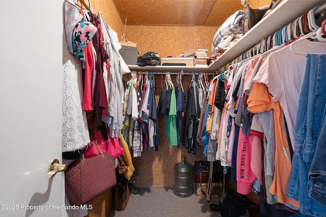 9414 Northcliffe Blvd, Spring Hill, FL 34606 - spacious closet with carpet floors