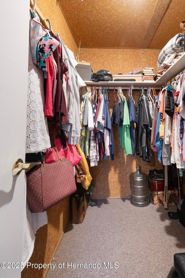 9414 Northcliffe Blvd, Spring Hill, FL 34606 - spacious closet with carpet