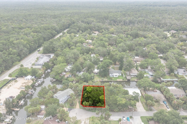 0 River Pt, Weeki Wachee, FL 34607 - photo 3