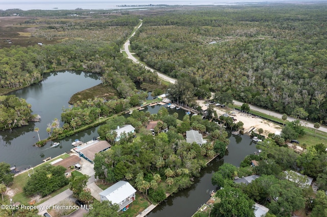 0 River Pt, Weeki Wachee, FL 34607 - photo 6