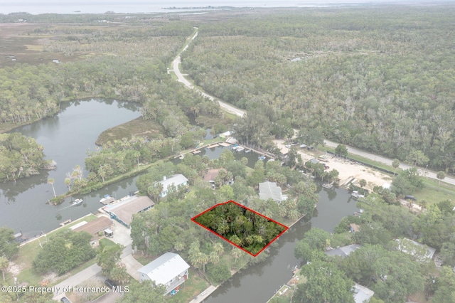 0 River Pt, Weeki Wachee, FL 34607 - photo 29