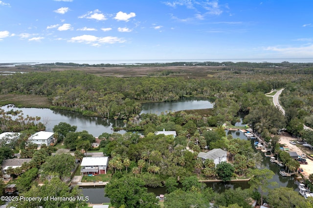 0 River Pt, Weeki Wachee, FL 34607 - photo 31