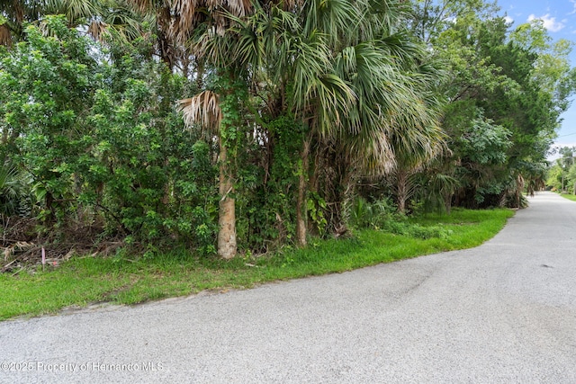 0 River Pt, Weeki Wachee, FL 34607 - photo 32