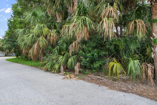 0 River Pt, Weeki Wachee, FL 34607 - photo 33