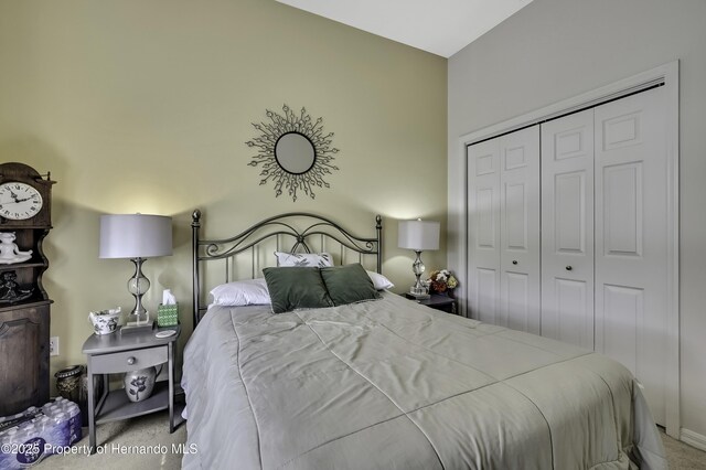 10109 Holly Berry Dr, Weeki Wachee, FL 34613 - bedroom featuring carpet and a closet
