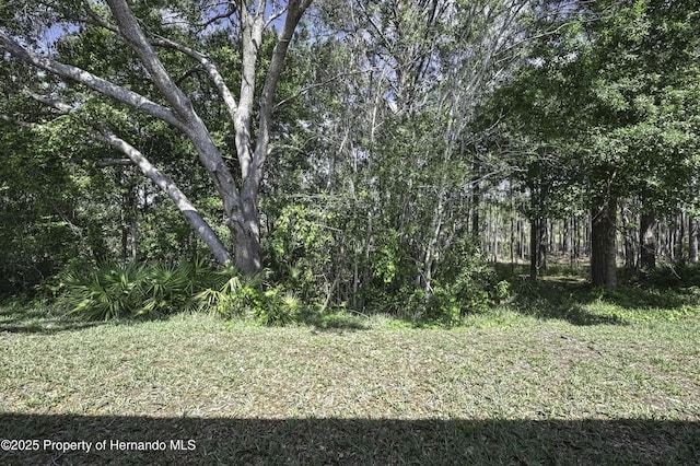10109 Holly Berry Dr, Weeki Wachee, FL 34613 - view of local wilderness