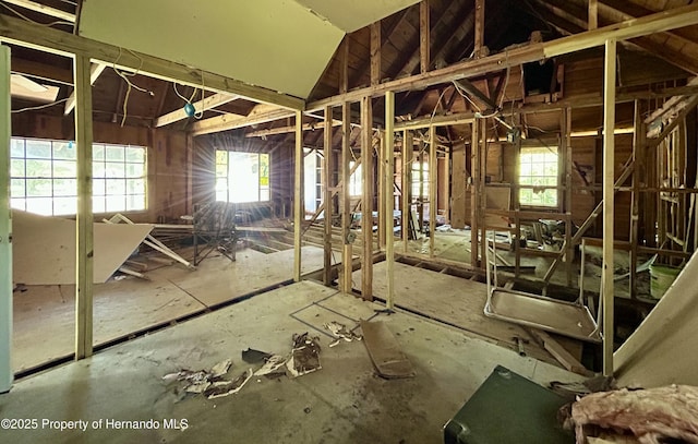 miscellaneous room featuring lofted ceiling and a healthy amount of sunlight