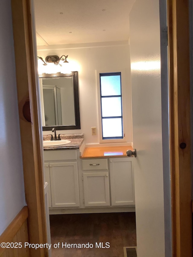bathroom with vanity and visible vents