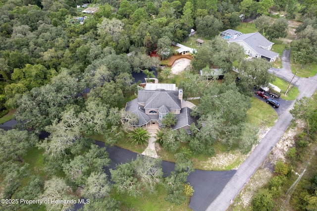 15053 Peace Blvd, Spring Hill Pasco, FL 34610 - photo 93