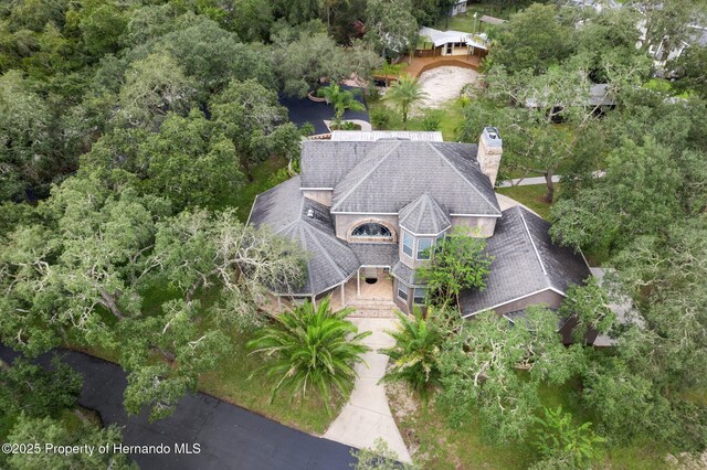 15053 Peace Blvd, Spring Hill Pasco, FL 34610 - photo 94