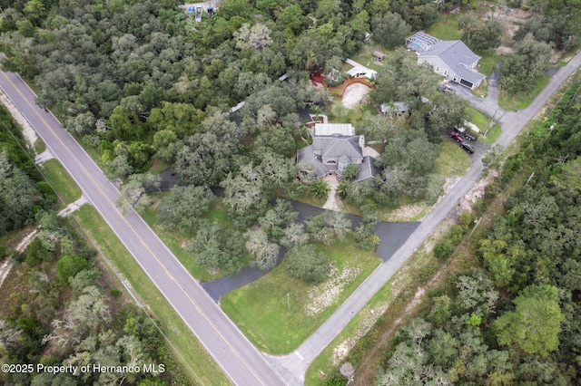 15053 Peace Blvd, Spring Hill Pasco, FL 34610 - photo 91