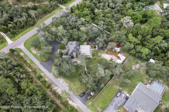 15053 Peace Blvd, Spring Hill Pasco, FL 34610 - photo 92