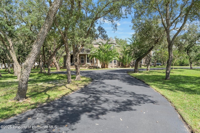 15053 Peace Blvd, Spring Hill Pasco, FL 34610 - photo 88