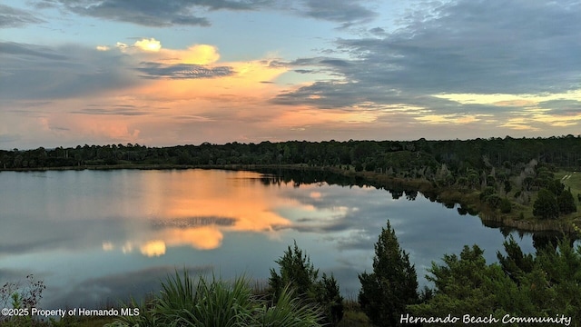LOT11 Bellaire Dr, Hernando Beach, FL 34607